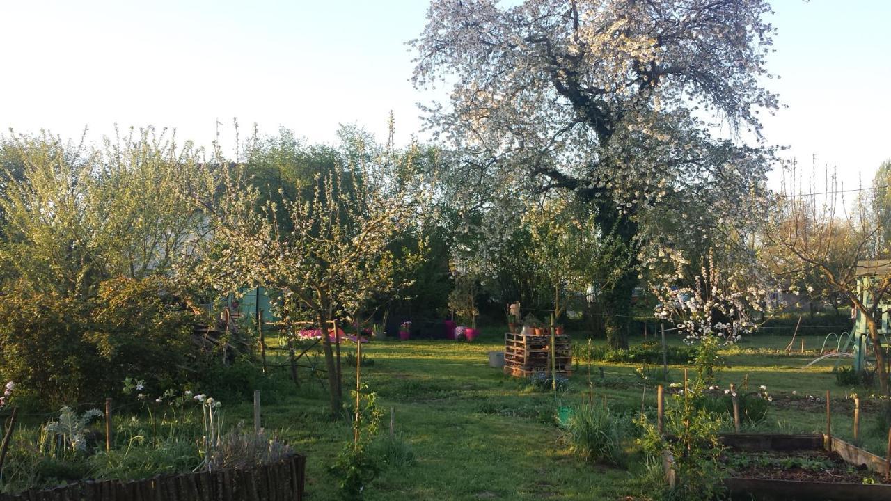 Chambre D'Hotes A La Campagne Nevers Challuy Buitenkant foto